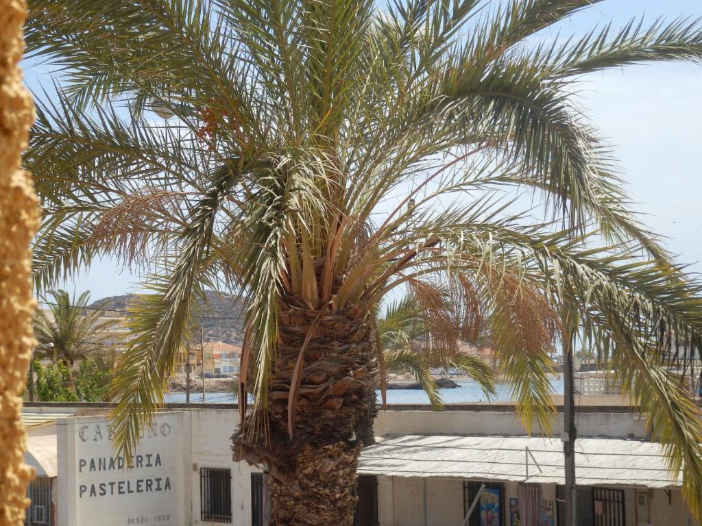 Apartamentos Taravilla P26 El Puerto de Mazarrón Rum bild